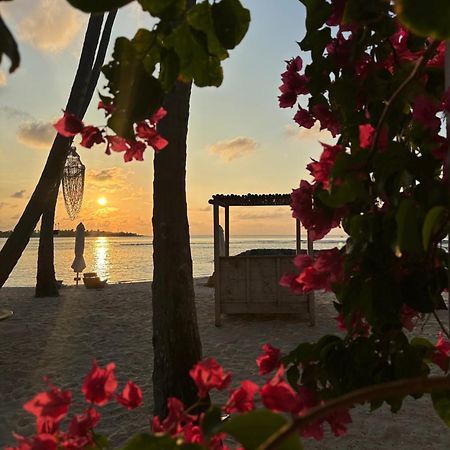 Samura Maldives Guest House Тулусду Экстерьер фото