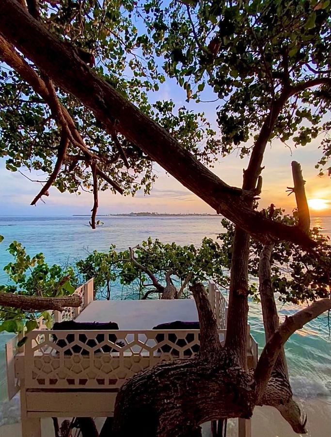 Samura Maldives Guest House Тулусду Экстерьер фото