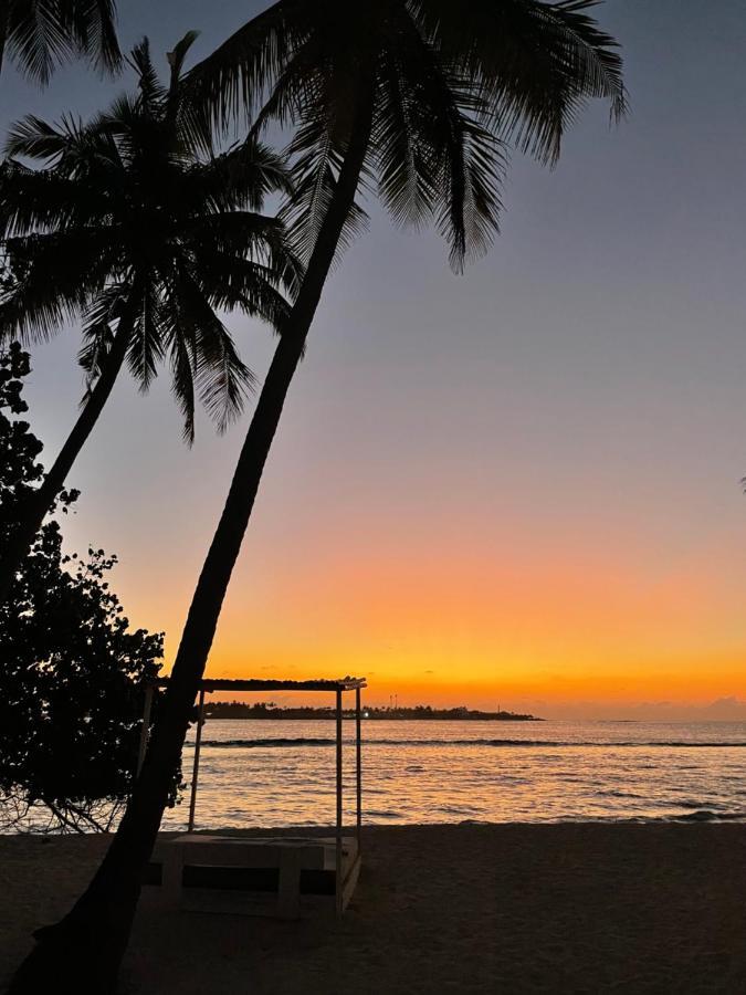 Samura Maldives Guest House Тулусду Экстерьер фото