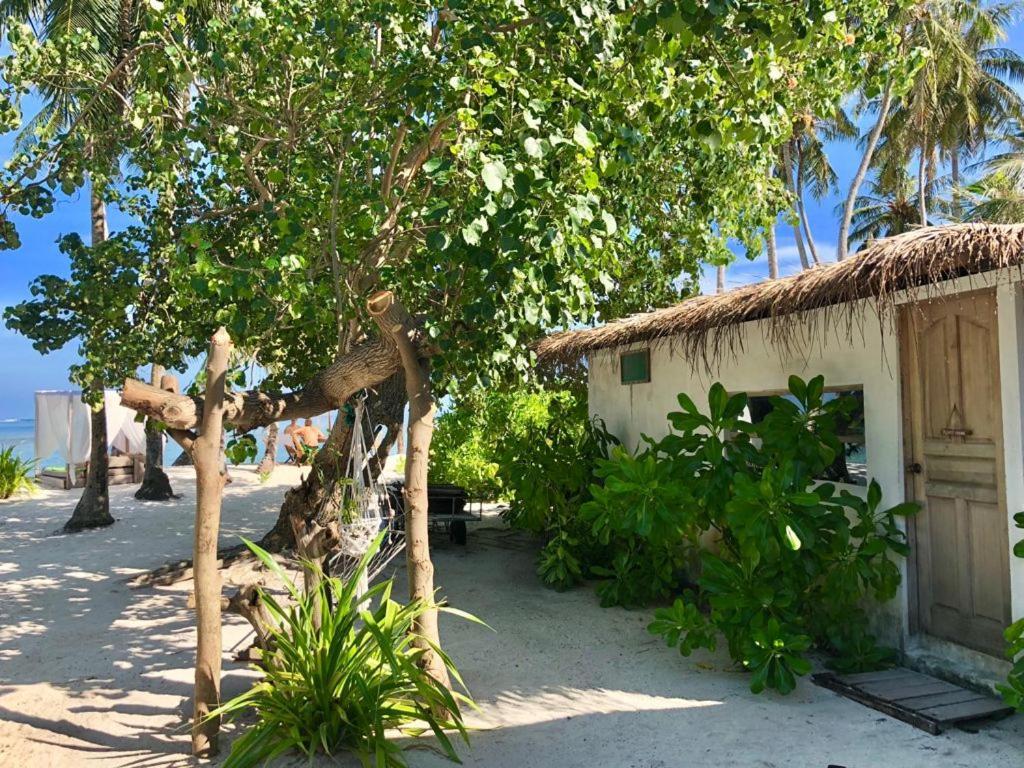 Samura Maldives Guest House Тулусду Экстерьер фото