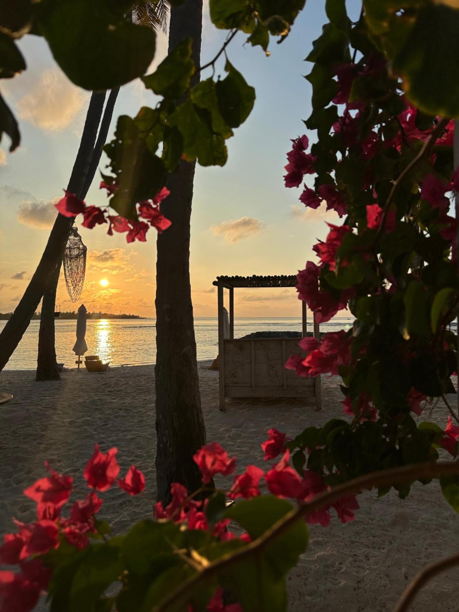 Samura Maldives Guest House Тулусду Экстерьер фото