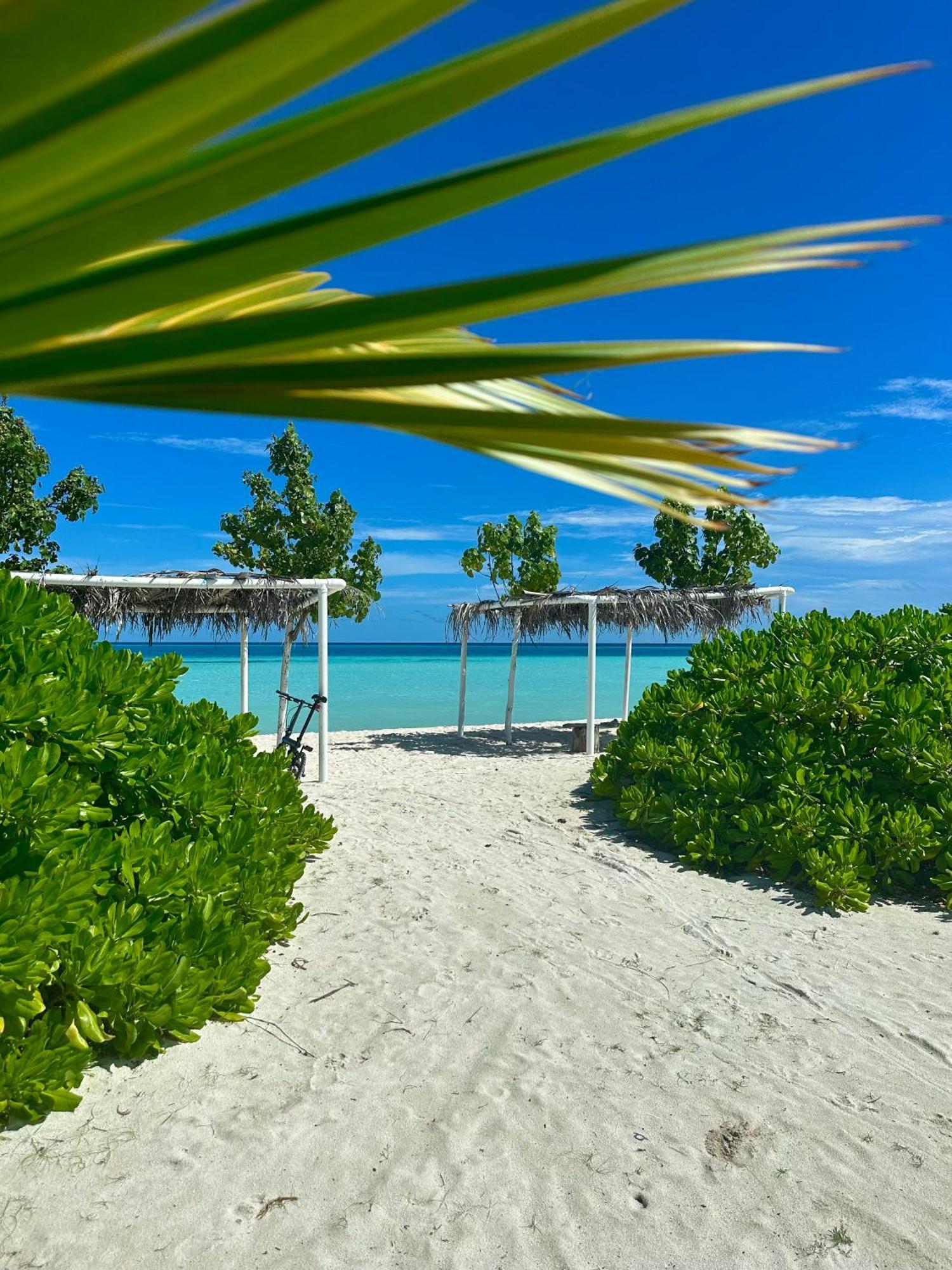 Samura Maldives Guest House Тулусду Экстерьер фото